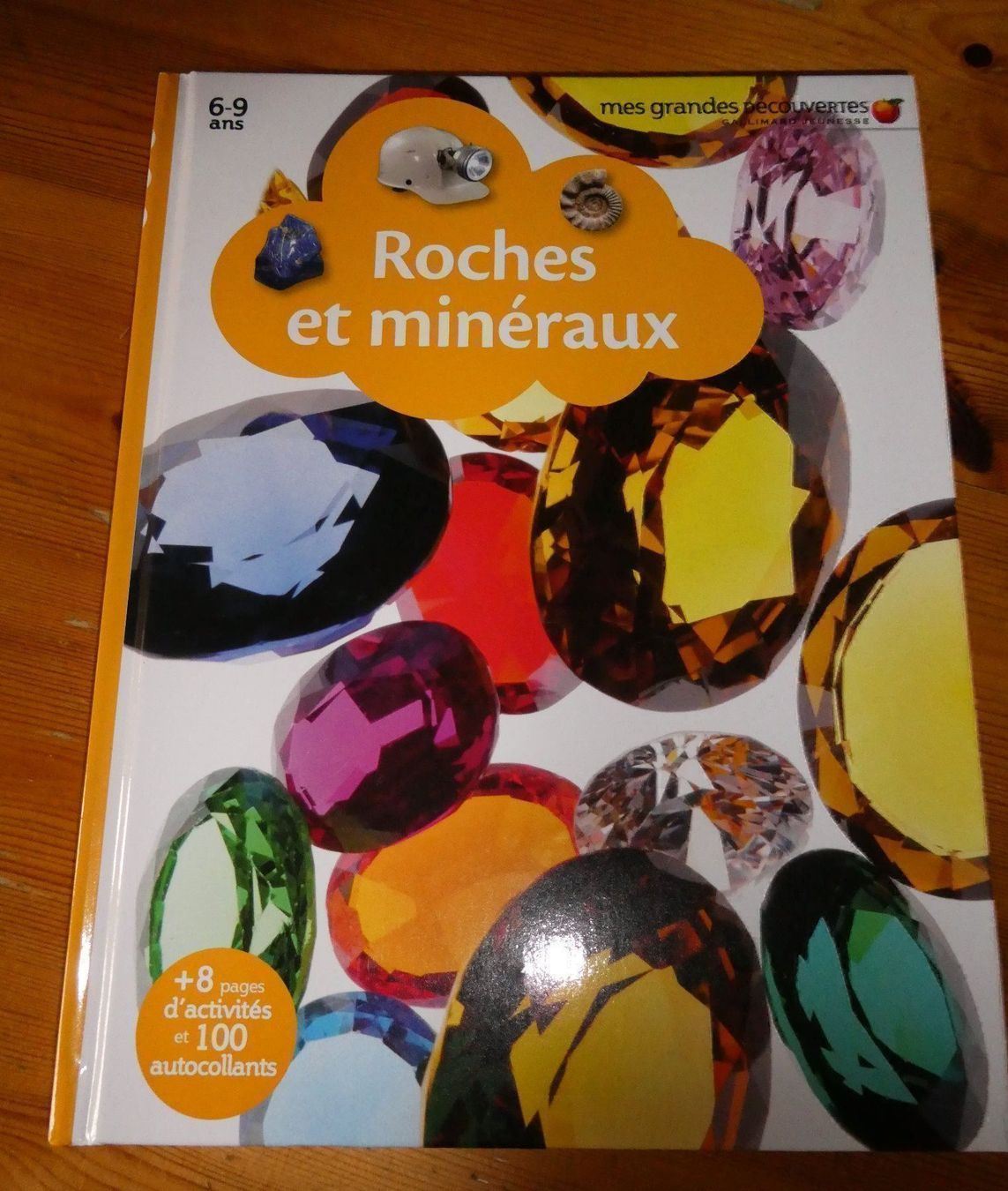 Libri: Livre Roches et minéraux – Nuovo e nell'imballaggio originale da Troistorrents venduto da Marion70