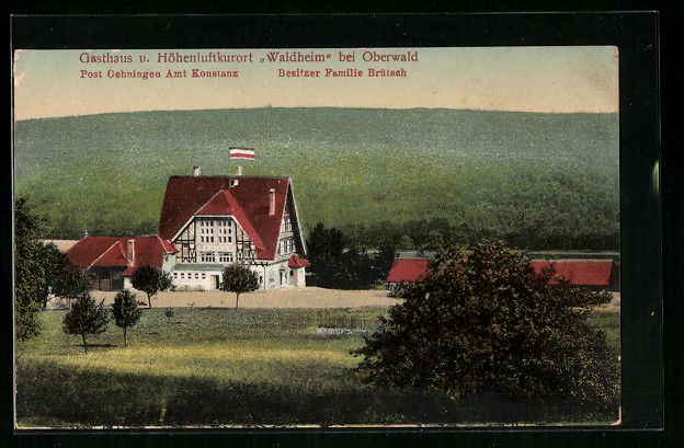 Cartoline postali: AK Oberwald, Blick auf Gasthaus Waldheim – Usato da Berlin venduto da bartko-reher