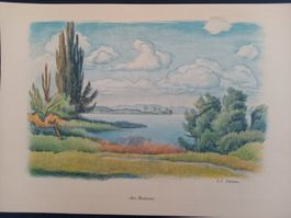 Lithographie couleur E.E.Schlatter - Lac de Constance