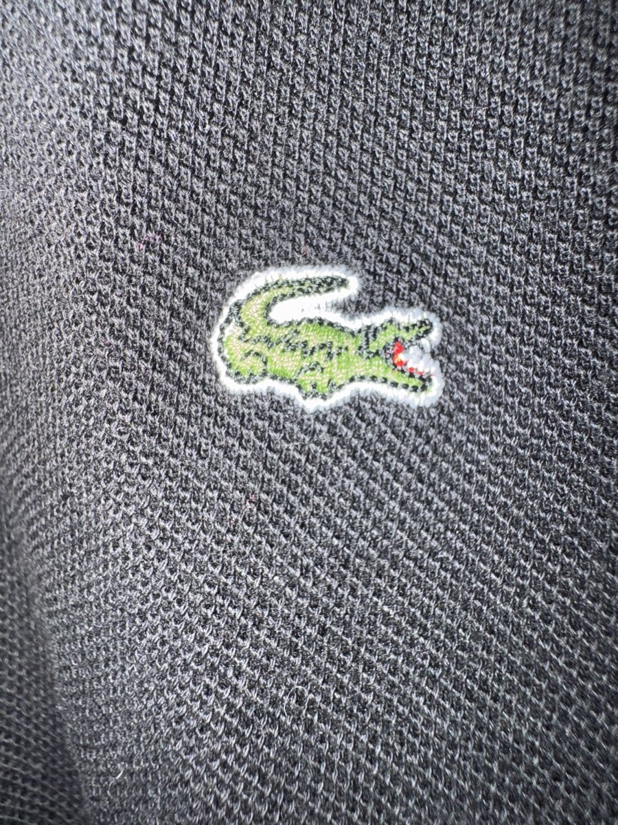 Lacoste Magliette Polo: Lacoste Poloshirt – Usato da Obfelden venduto da cesarina10 7