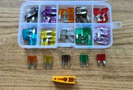 Assortiment de fusible lame - Mini - 50 pièces - Sicherung
