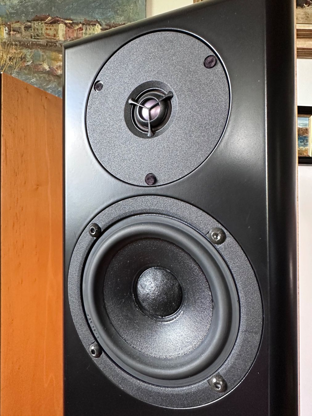 Casse acustiche: Audio Physic Virgo, 3-Wege  Standlautsprecher – Usato da Uetikon am See venduto da stax55 6