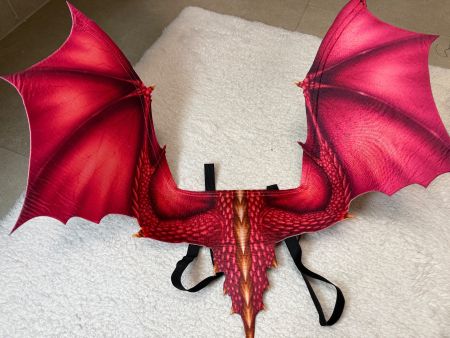 Ailes de Dragon Rouge - Costume Halloween 🐕🎃...