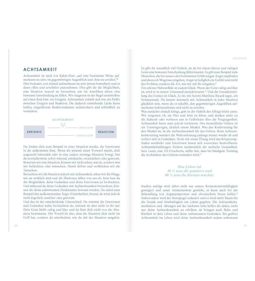 Libri: Buch: THE NEW YOU, – Nuovo e nell'imballaggio originale da Einsiedeln venduto da ochmiranda 4