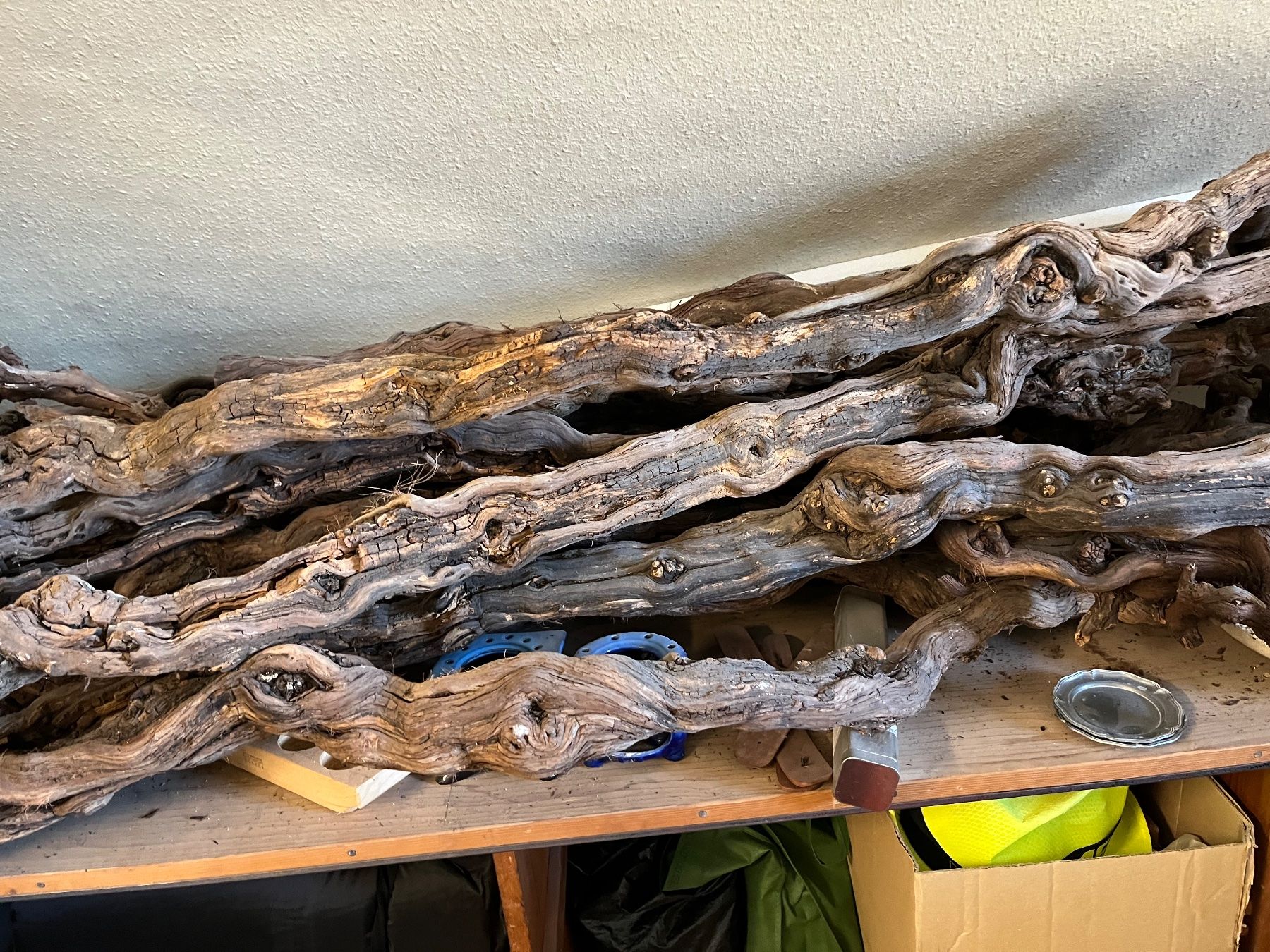 Terrario: Terrarium Rebenholz – Usato da Weisslingen venduto da Eniclote 3