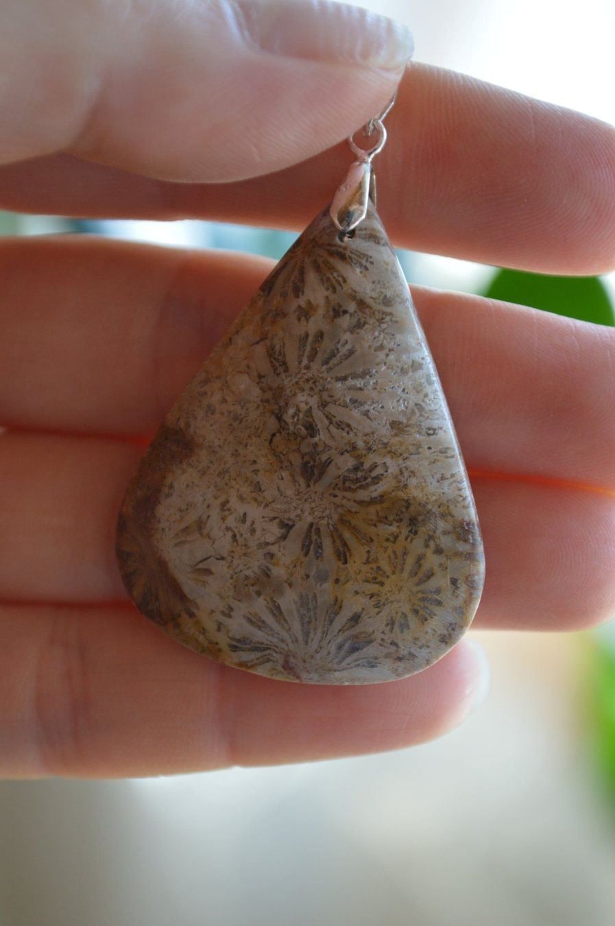 Fossili: FOSSIL KORALL SILBER ANHÄNGER – Nuovo e nell'imballaggio originale da Berg TG venduto da marta970 1