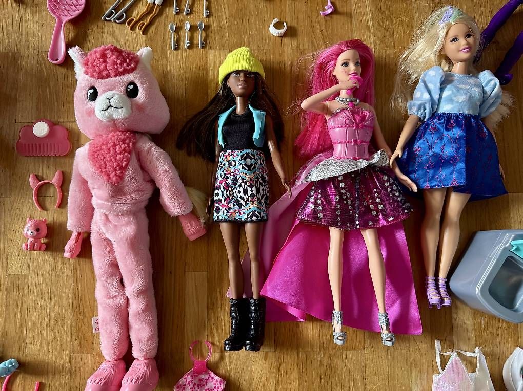 Bambole: Grosses Barbie Set – Usato da Schlieren venduto da schiggiZH 4