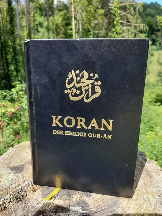 Hardcover Koran A4 Der Heilige Koran: Farbcodierte Tajweed-Regeln & Apfelbäume 13 Zeilen Heiliger Koran Farbcodiert