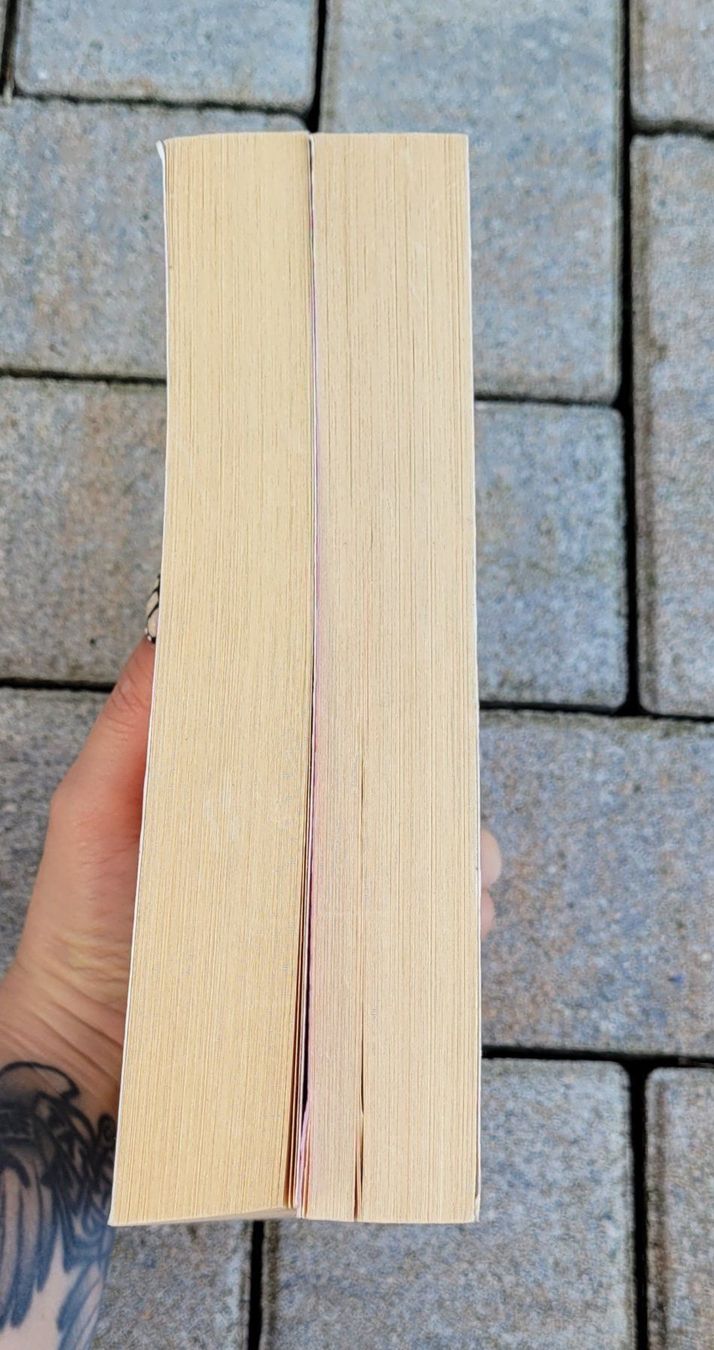 Libri: 2 witzige Bücher: Bielenstein – Usato da Füllinsdorf venduto da Sunnebliemli7 2
