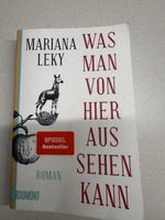 Roman Was man von hier aus sehen kann