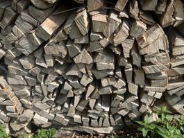 Brennholz Buche