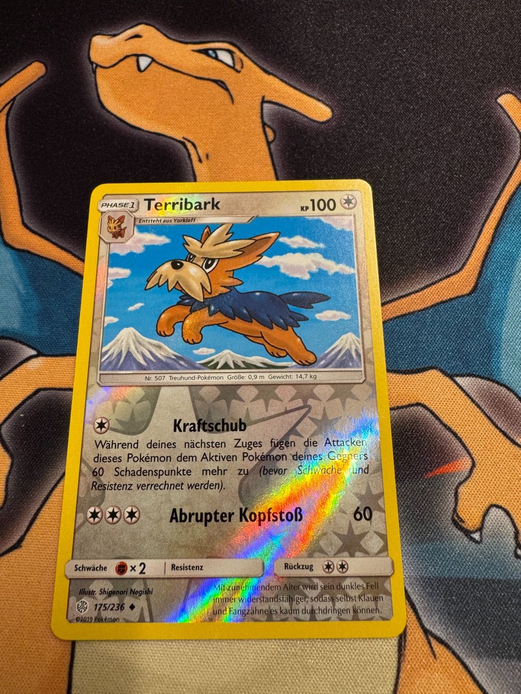 Pokémon Carte collezionabili: Terribark (CEC 175) - Reverse Holo - Welten im Wandel – Nuovo (secondo la descrizione) da Bülach venduto da Pfrenzel