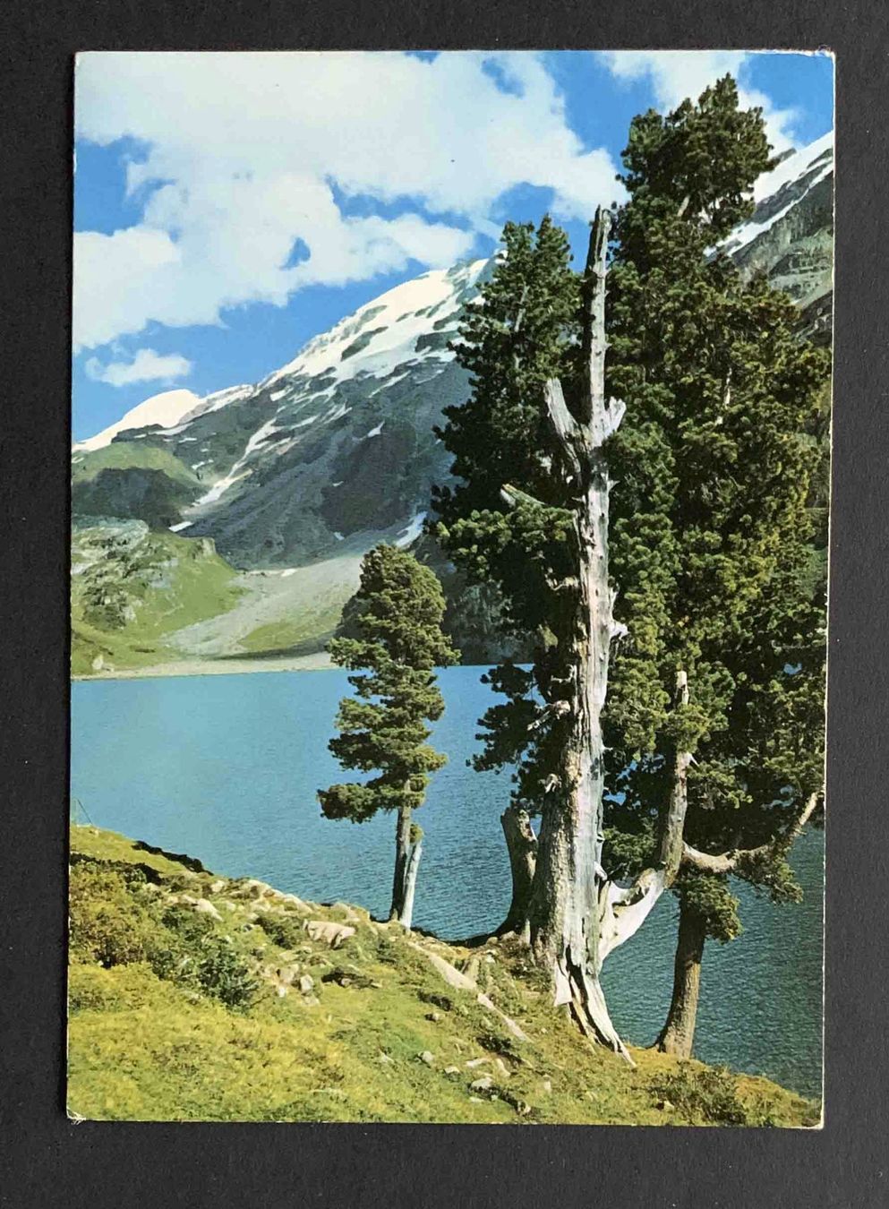 Cartoline postali: AK Am Engstlisee Titlis – Usato da Goldau venduto da artelier1
