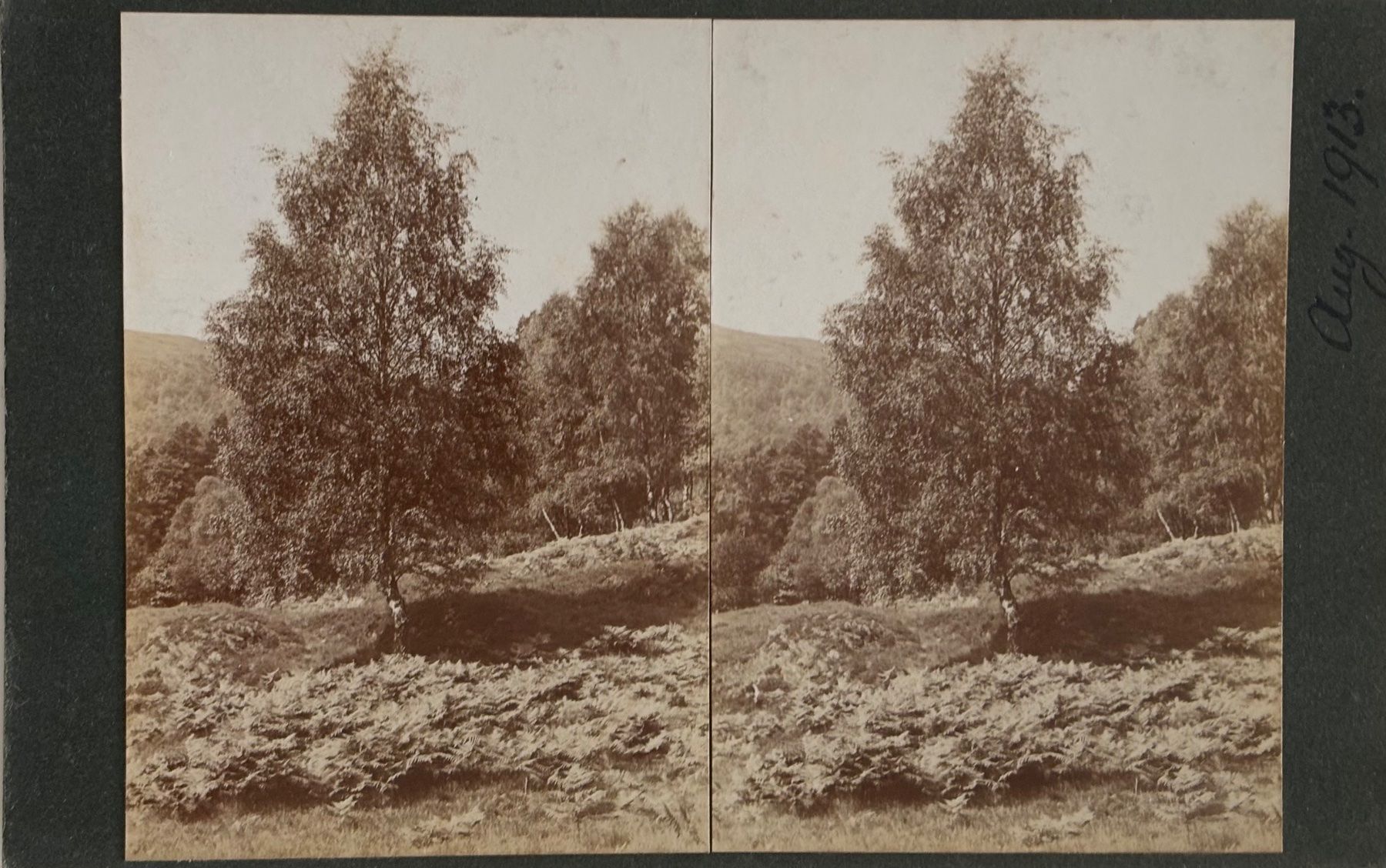 Ansichtskarten: Uralte private Stereofoto, um 1900 – Gebraucht aus Frauenfeld von Merk52