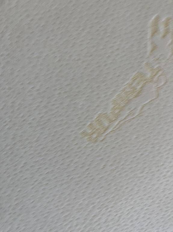 Tempur Materassi: Tempur- Matratze 90x200 – Usato da Meilen venduto da marsupilamaya 3