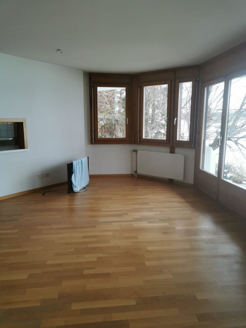 Radiatori: Heizkörper und Handtuchradiator – Usato da Wetzikon ZH venduto da Tinny10
