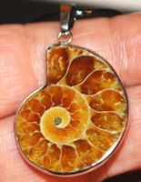 Halskette D-994 – AAA Ammonit Fossil