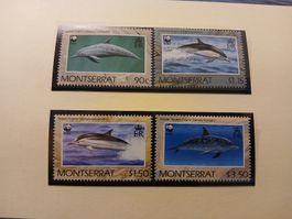 Lot de 4 timbres Montserrat - Dauphins - WWF - Rare!