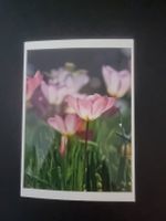 1 Karte / Motiv: Tulpen (handgemacht / Unikat)