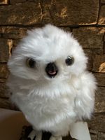 Harry Potter Hedwig Eule interaktiv gebrauchter Zustand