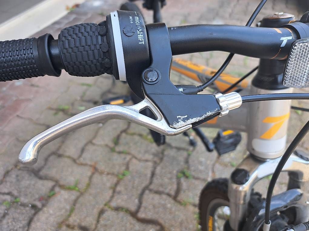 Trelago Biciclette: Kinderfahrrad 20 Zoll Trelago – Usato da Reichenburg venduto da Jud0815 2