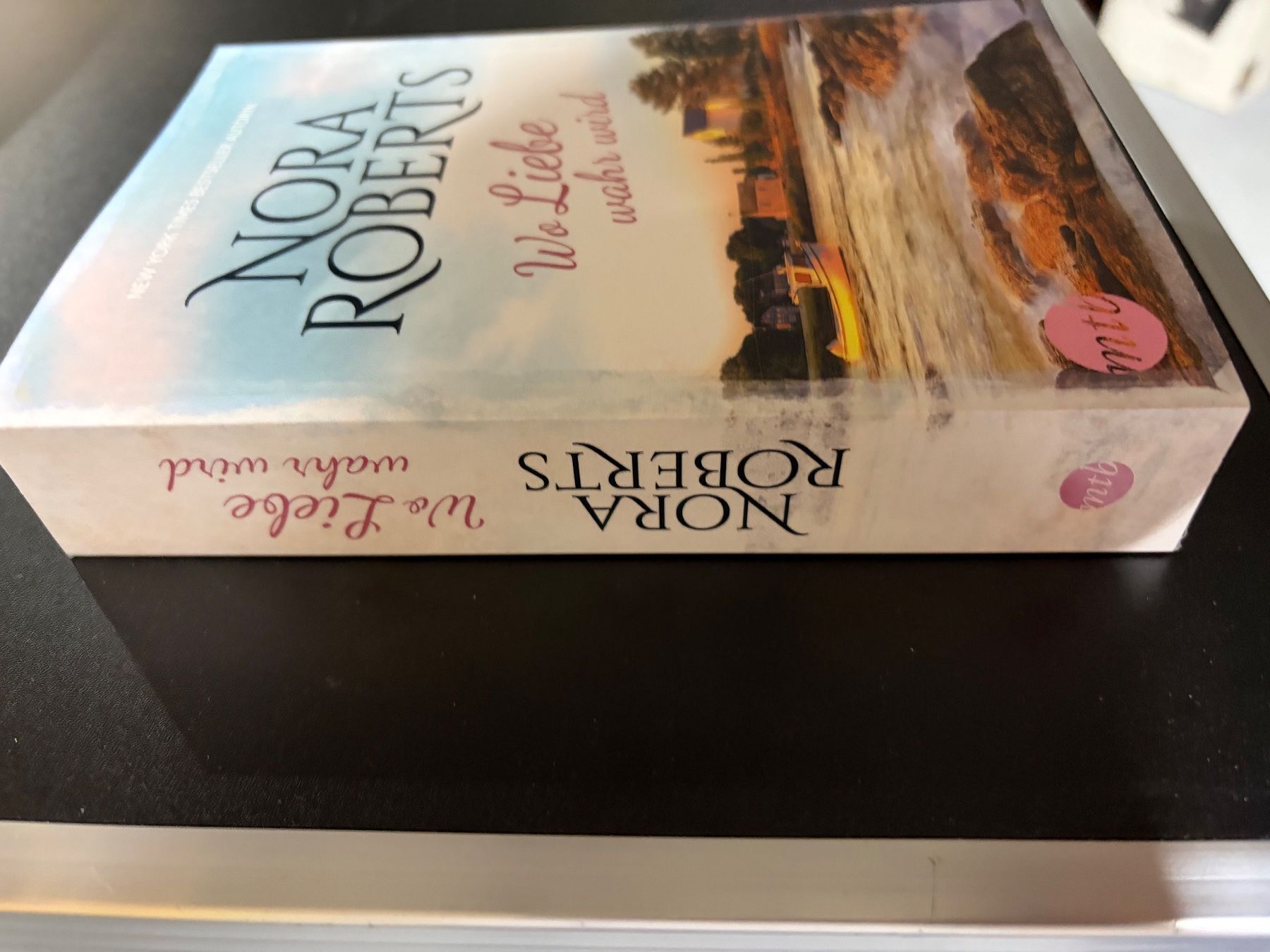 Livres: Roman von Nora Roberts – D'occasion à Obergösgen par Andre118 1