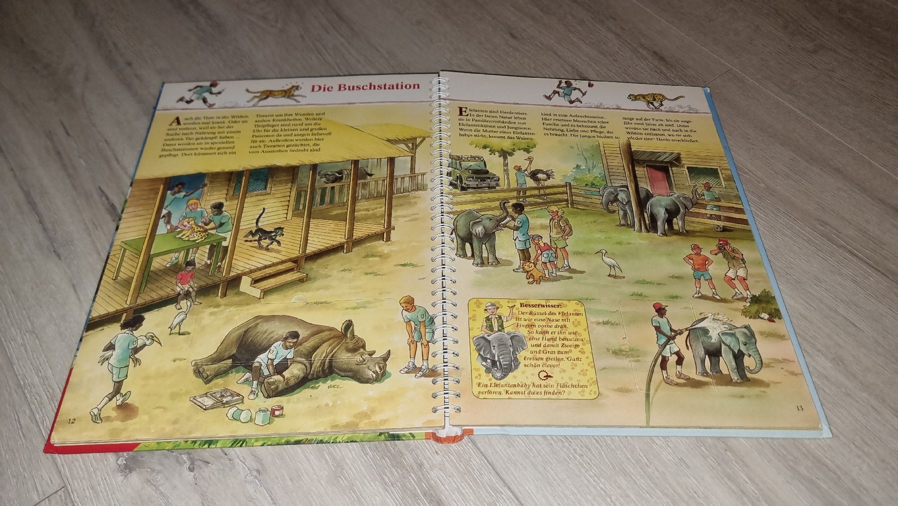 Libri: "Abenteuer Safari" Kinderbuch mit Klappen – Usato da Wigoltingen venduto da Zuckerfee84 2