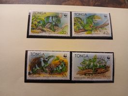 Tonga - Série de 4 Timbres rares avec des iguanes!