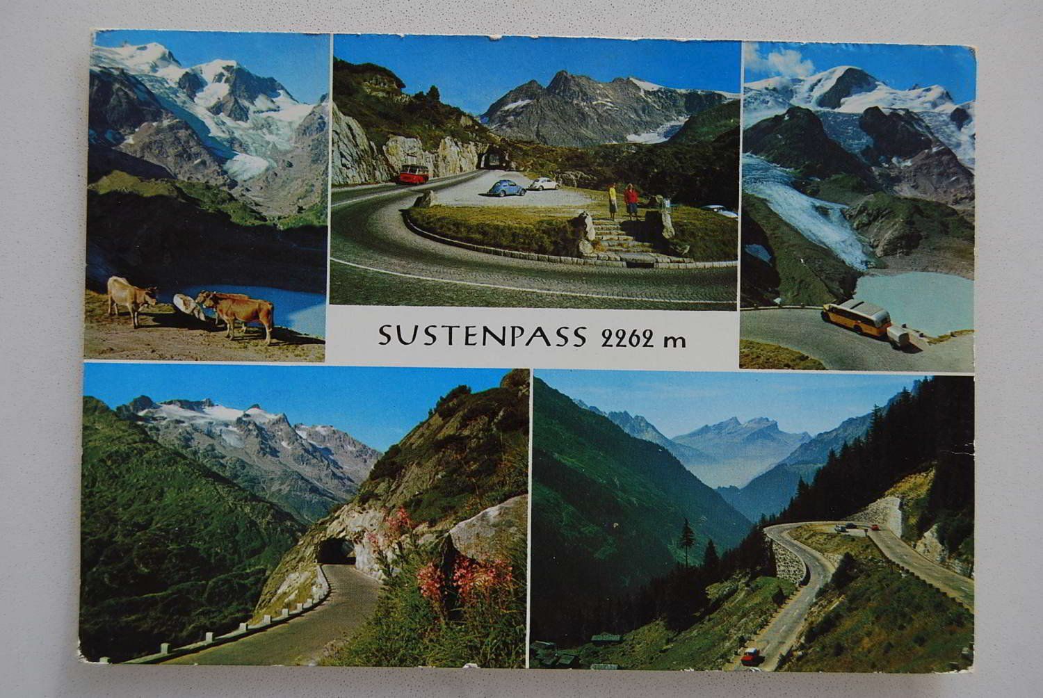Cartoline postali: AK Sustenpass 2262 m 1966 – Usato da Rüfenacht BE venduto da Toro06
