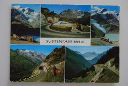 AK Sustenpass 2262 m 1966