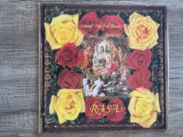 M77/Rasa - Coming Into Full Bloom