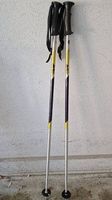 Bâton de skis 