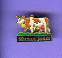 MICHEL JORDI  Kuh