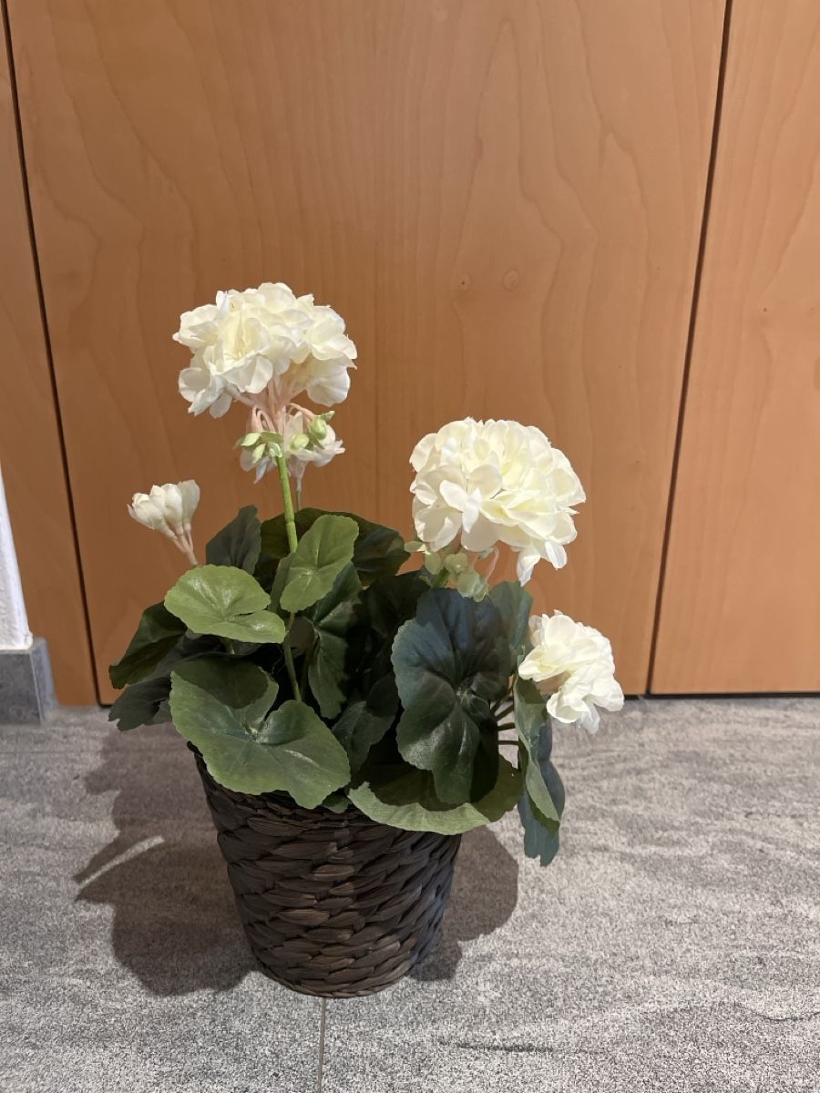 Alle Dekorationen: Kunst Blumen – Gebraucht aus Holziken von ale_h6sl 1