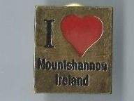 Placchette & Badge: Irland PIN – Usato da Zürich venduto da t24_de