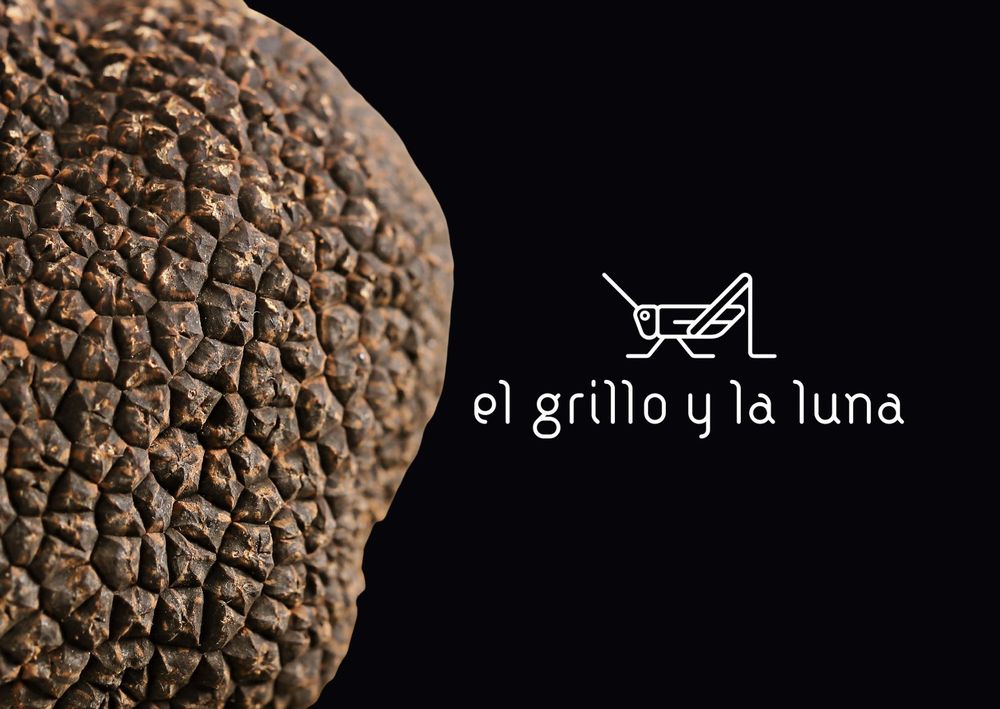 6 Flaschen 12 Lunas weiss Somontano Kaufen auf Ricardo