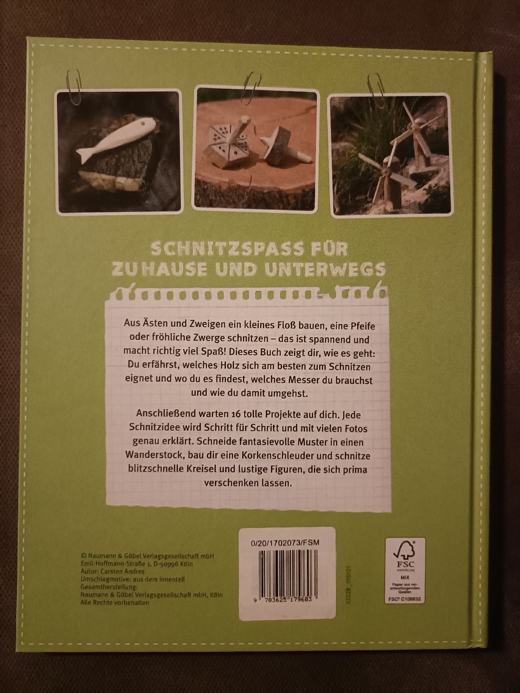 Bücher: Buch "Tolle Schnitzereien" – Neu (gemäss Beschreibung) aus Buchrain von Siro82 1