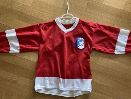 ZSC Trikot (Kind)