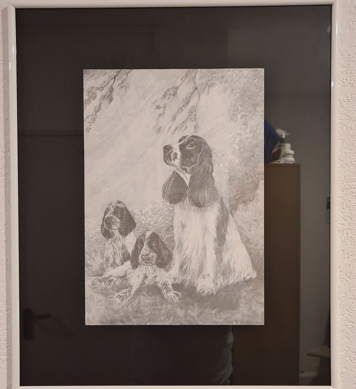 Dipinti: Tableau décoratif chiens Springer Spaniel, encadré, neuf – Nuovo (secondo la descrizione) da Prévondavaux venduto da ama_lwd6