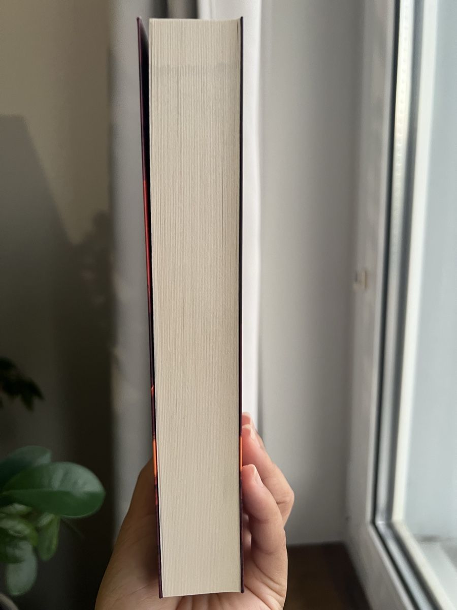 Bücher: Deadworld Isekai – Neu (gemäss Beschreibung) aus Glattbrugg von readsy 3