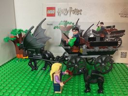 LEGO Harry Potter Thestral-Begegnung ab 1 Fr. 🥩