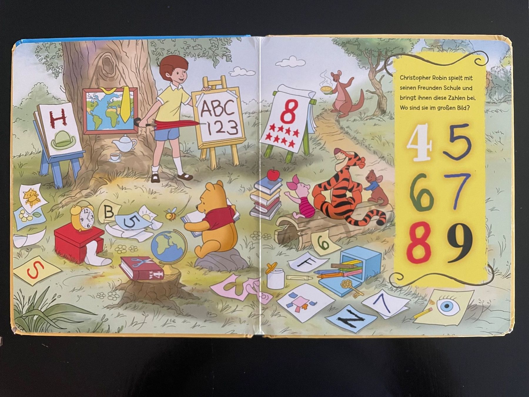 Bücher: Winnie Puuh - Suchen & Entdecken – Gebraucht aus Aarau Rohr von Rokazo 5