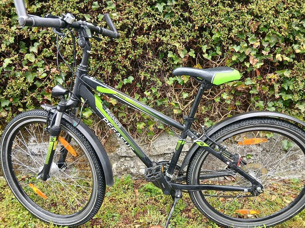 Velos: Pegasus, 24 Zoll – Gebraucht aus Fuerigen von kati072 3