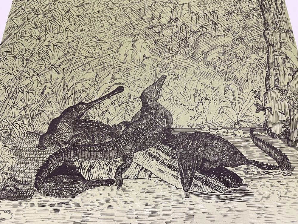 Grafiken & Lithographien: JÜRG FURRER LITHOGRAPHIE SIGNIERT NUMMERIERT – Gebraucht aus Gersau von grafik-kunst 4