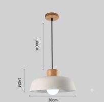 Luminaire suspendu ordique moderne en métal