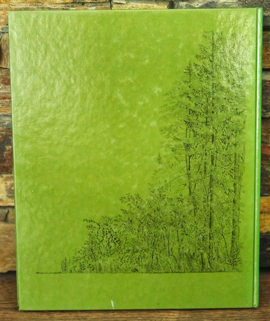 Libri: Buch WALD Das Silva Familienbuch 1984 – Usato da Wohlen AG venduto da Exitburn 1