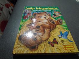 Lustige Teddygeschichten - in Grossdruckschrift-