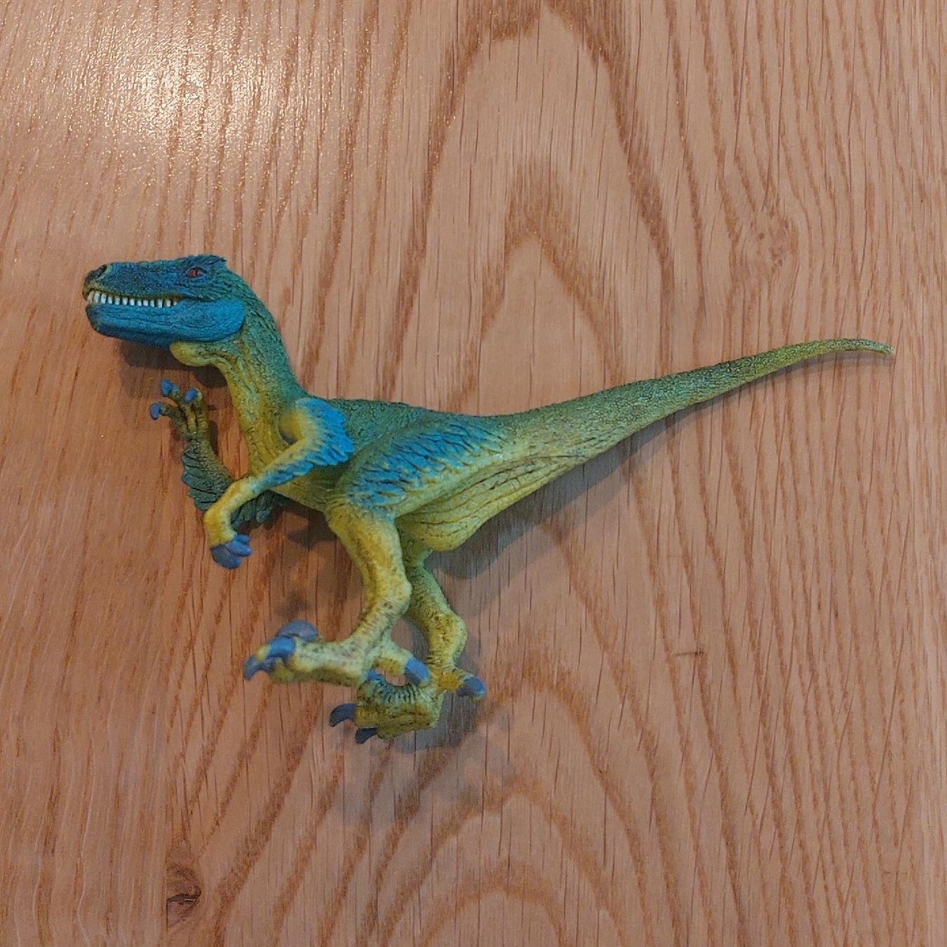 Schleich Spielzeuge: Schleich Dino Set 6 Stück – Gebraucht aus Kloten von Angihu 5