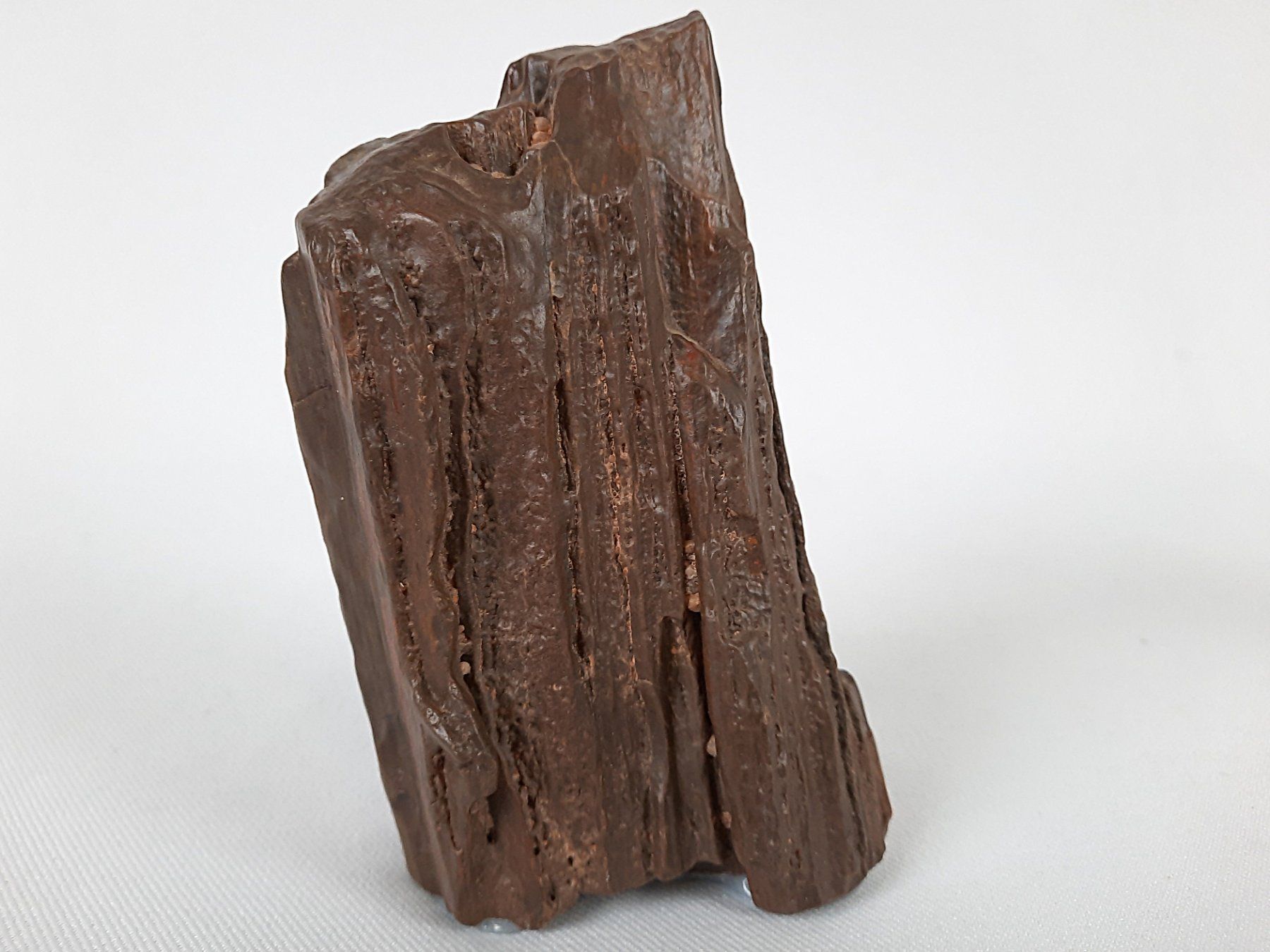 Minerali & Pietre curative: Fossiles Holz und Selenit-Turm – Usato da Beinwil am See venduto da Restwert_Beinwil 1