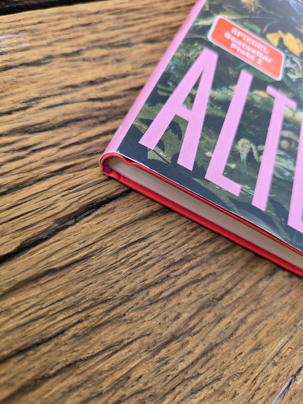Libri: Buch: Elke Heidenreich "Altern" – Nuovo (secondo la descrizione) da Romanshorn venduto da Rachacha 1